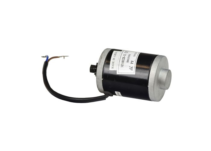 12 Volt 100 Watt MY6812B-12 Electric Motor with 7 Tooth #25 Chain ...