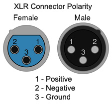 XLR Connector Polarity